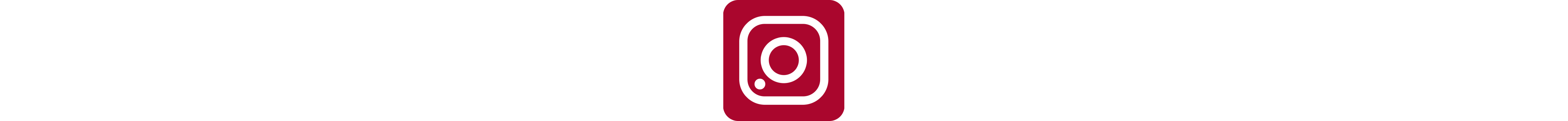 Instagram Icon